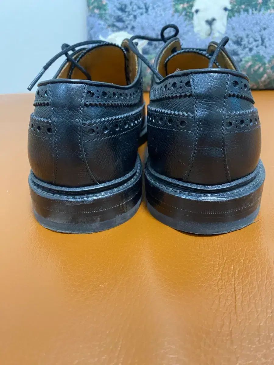 ウイングチップ