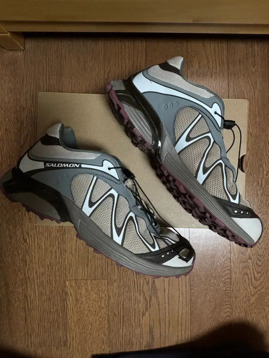 サロモン XT WHISPER 270