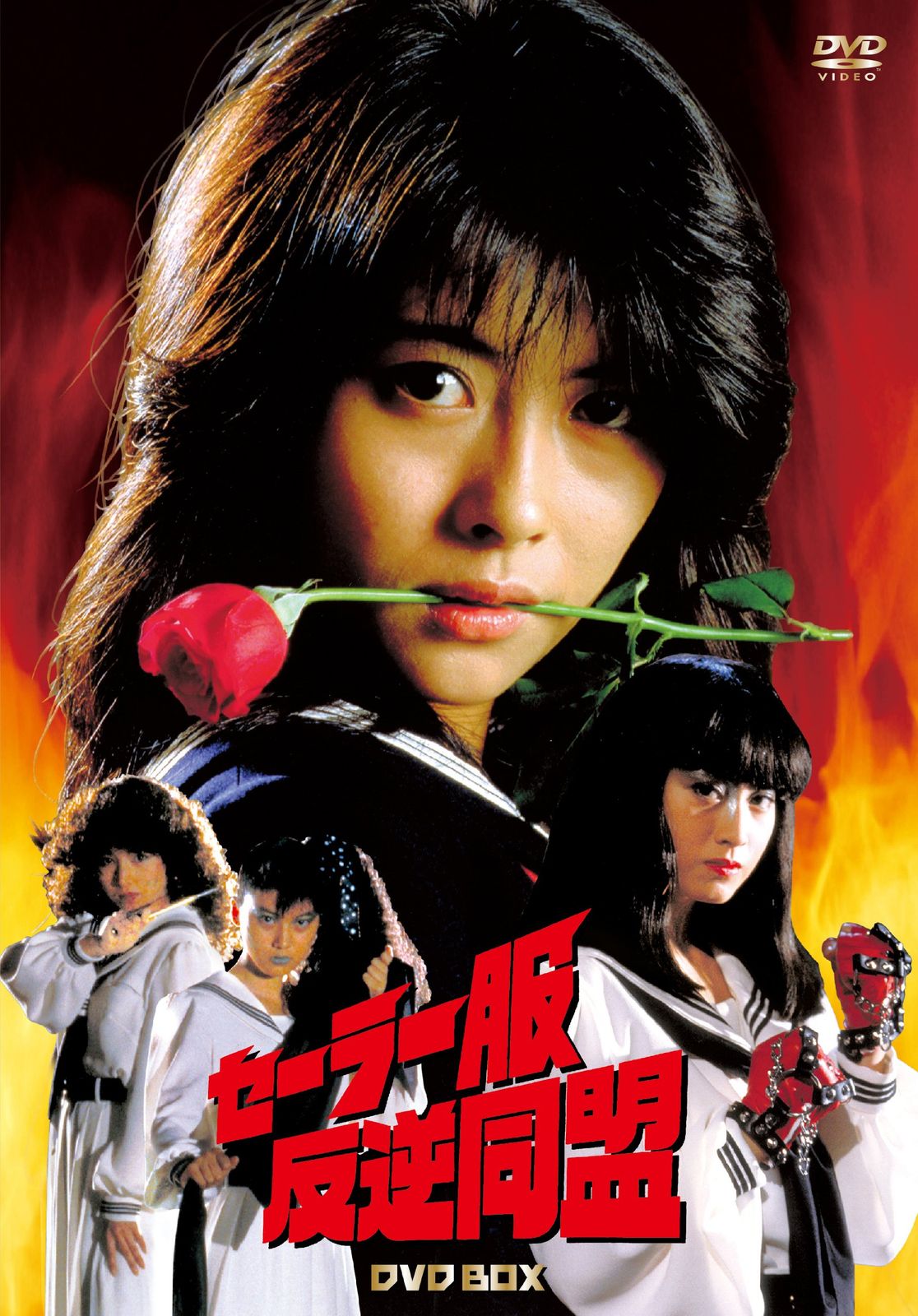 セーラー服反逆同盟 DVD BOX 組 品