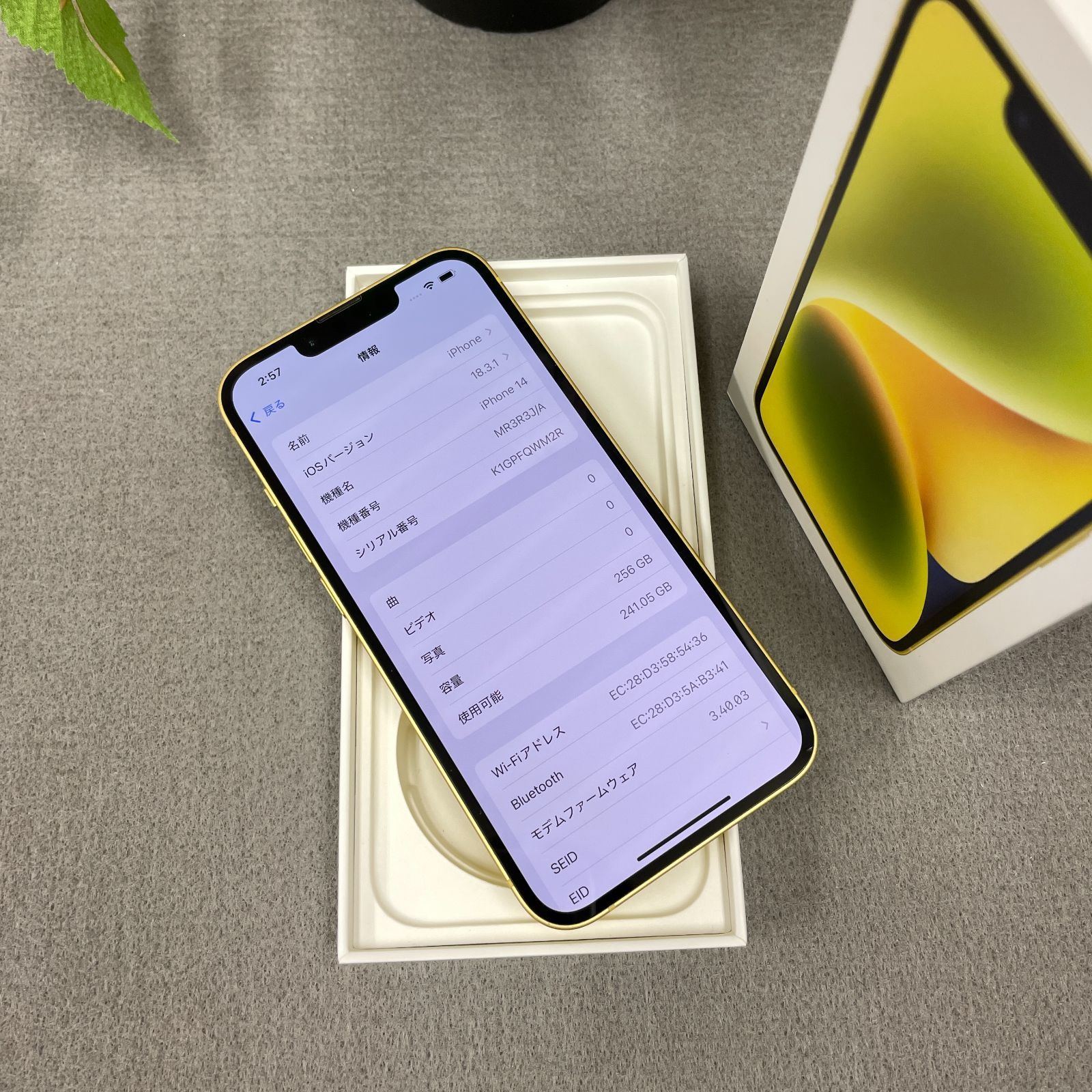 iPhone 14 Plus 国内版 イエロー 256GB SIMフリー : Apple iPhone 14 