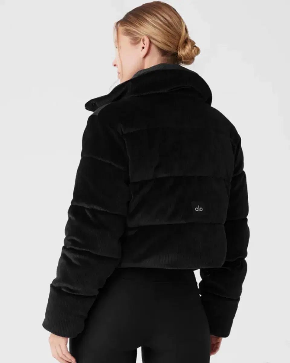 アロ リーブリブドベロアゴールドラッシュパファー