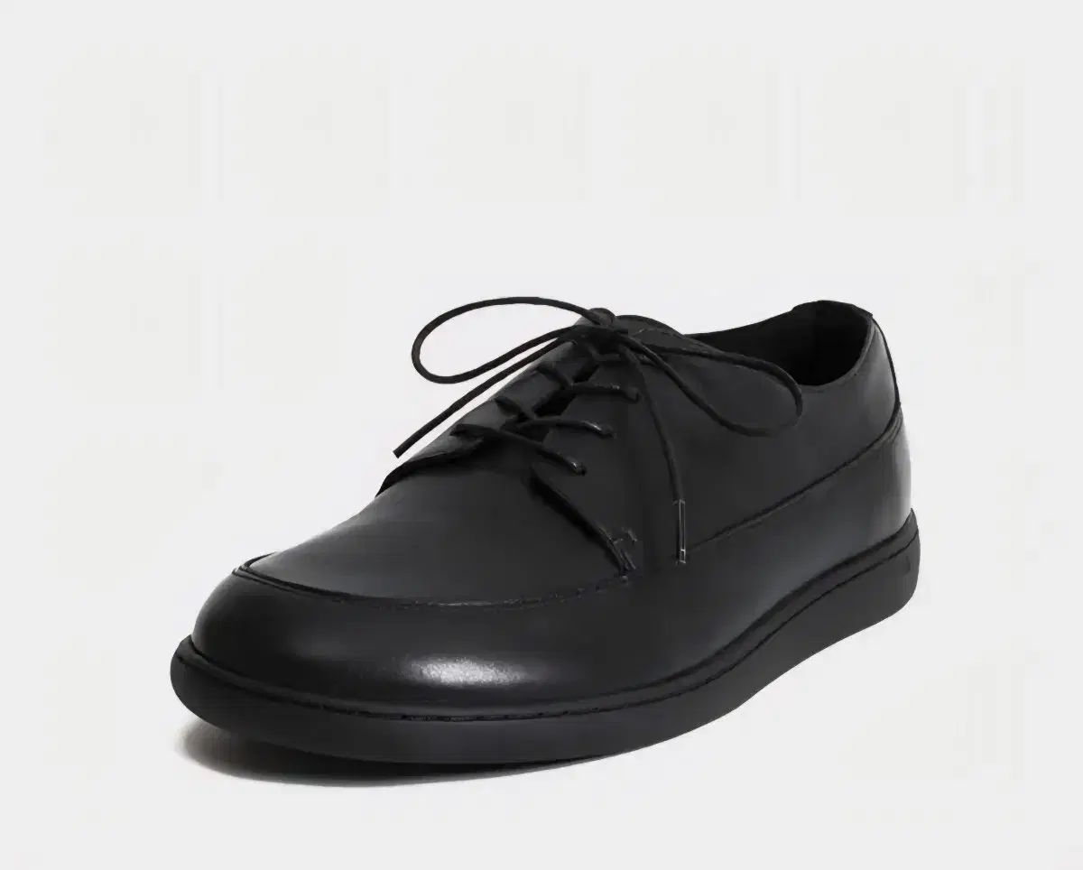 Perfectmovement ワイド 245