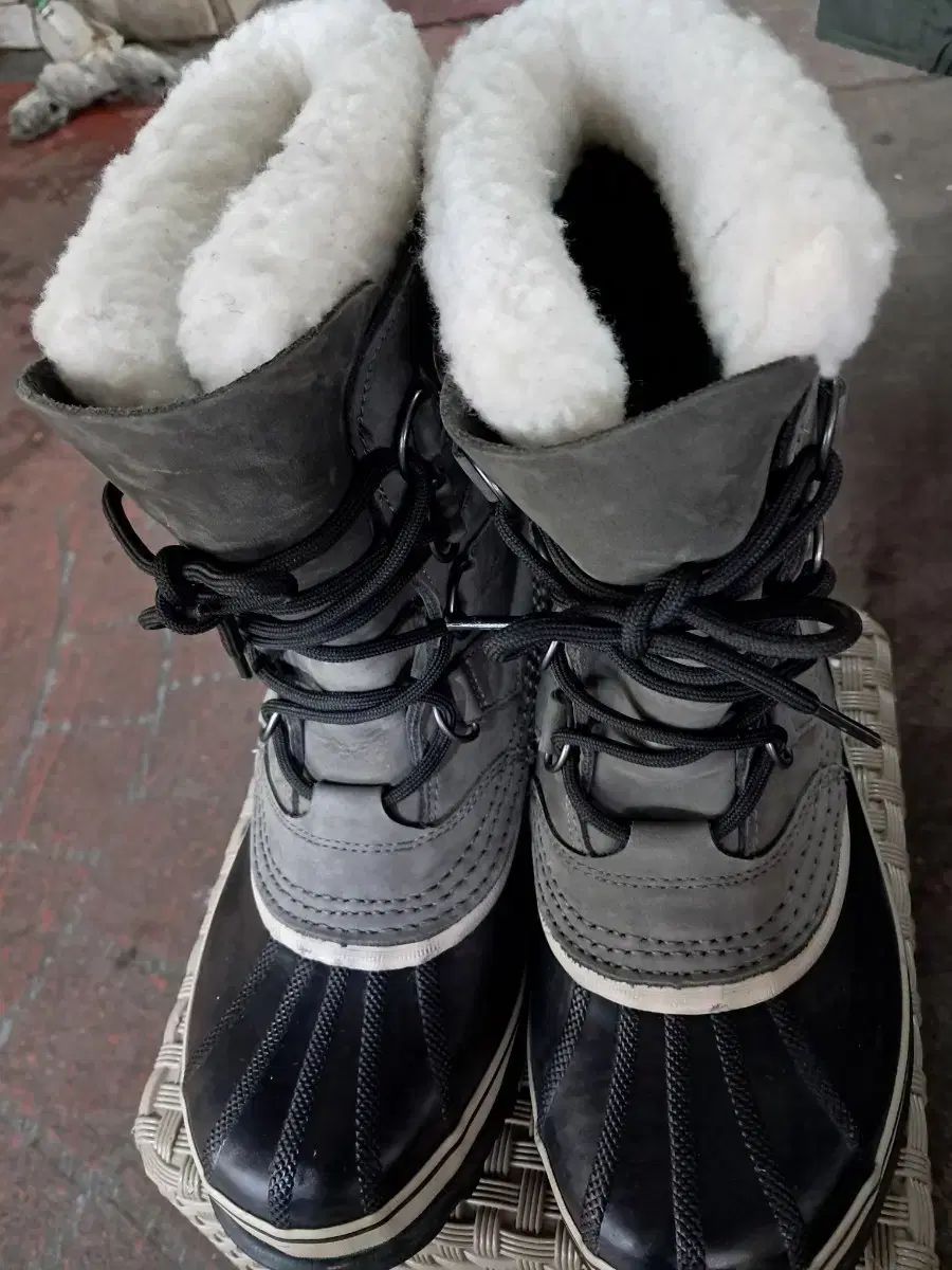 ソレル ファー ブーツ グレー|ブラック 255 260
