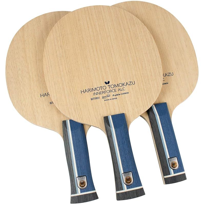 張本智和モデル