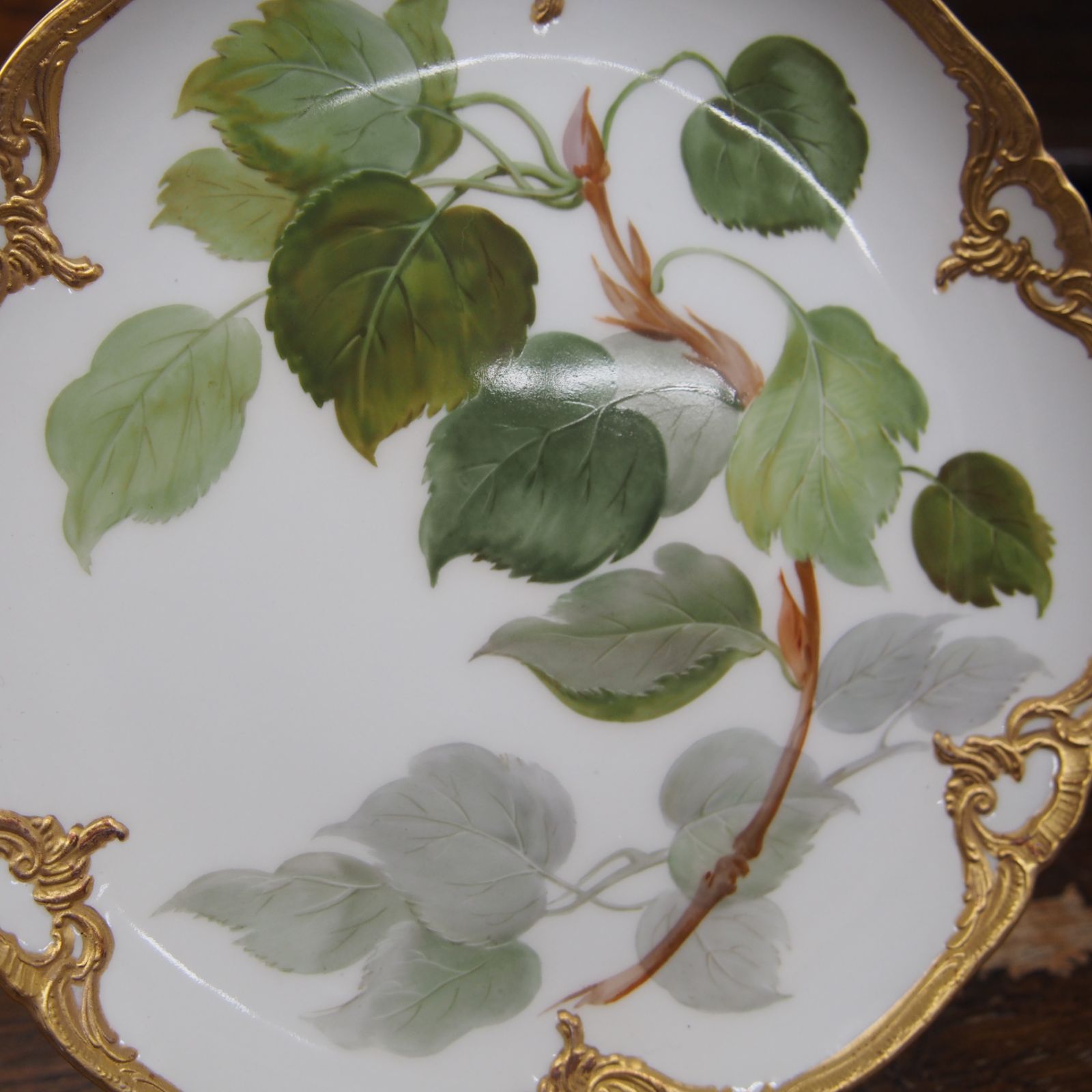 18cm KPM KPMベルリン ベルリン王立磁器製陶所 自然主義 葉物 植物画