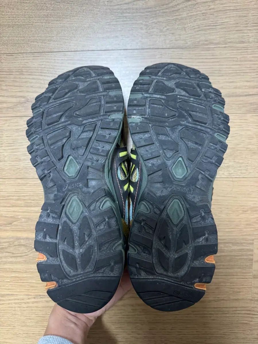 15-50 オリーブオイル