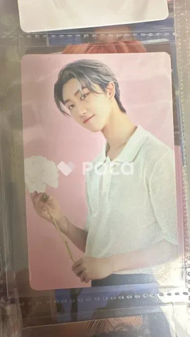 Seventeen ディエイト セブチ SEVENTEEN CAFE in SEOUL Trading Card