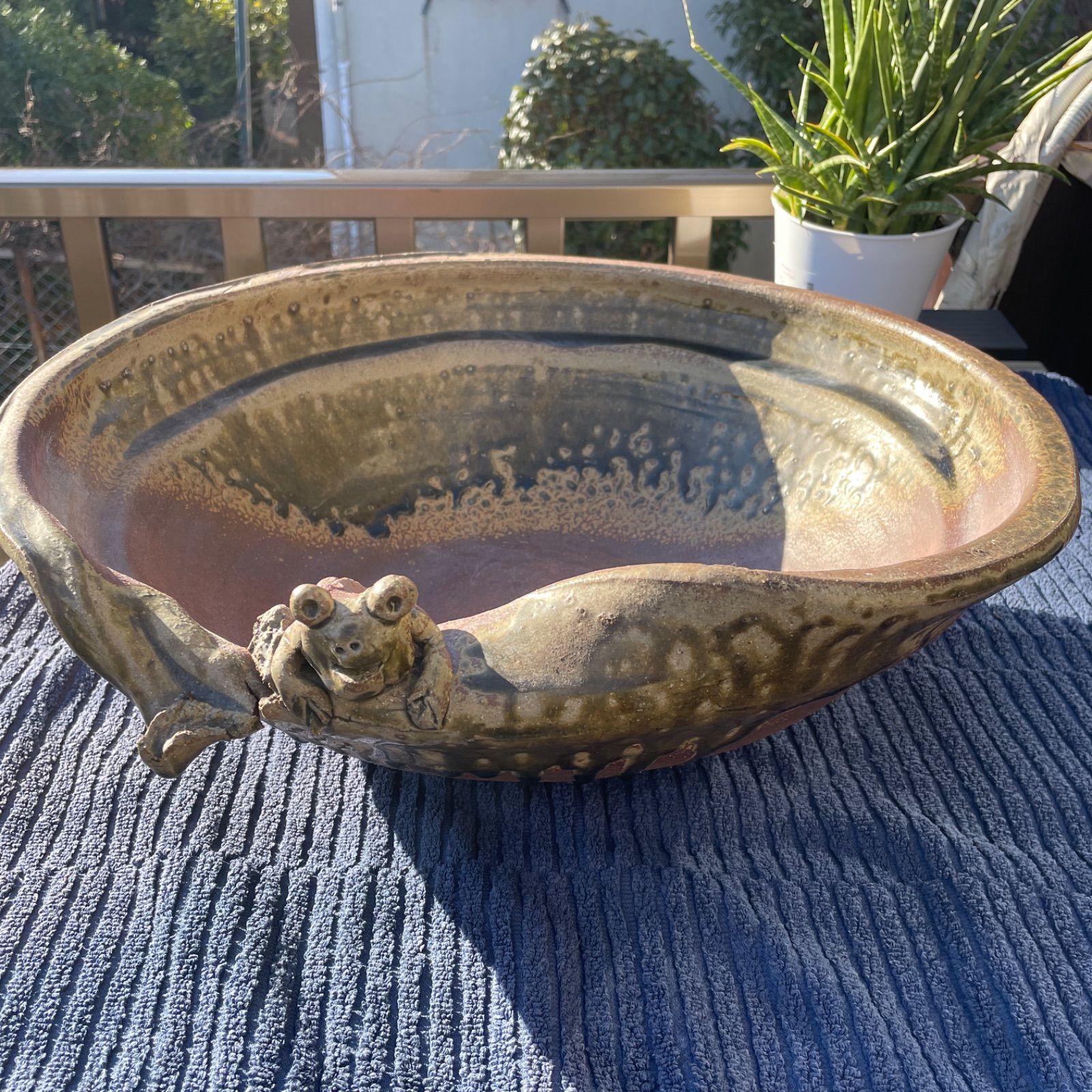 信楽焼 ビードロ蛙付めだか鉢 金魚鉢 陶器