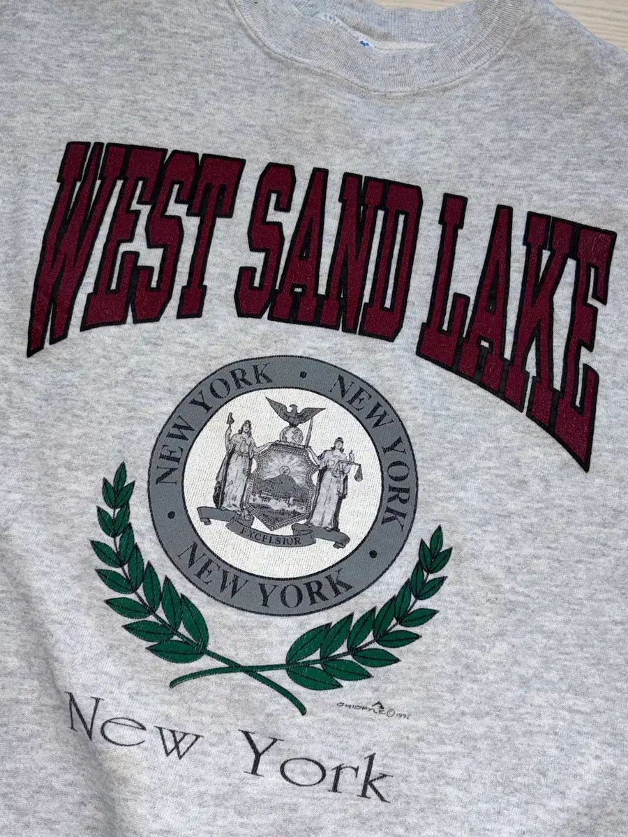 90 s ヘインズ Hanes 50 ヴィンテージ スウェット L 100-103