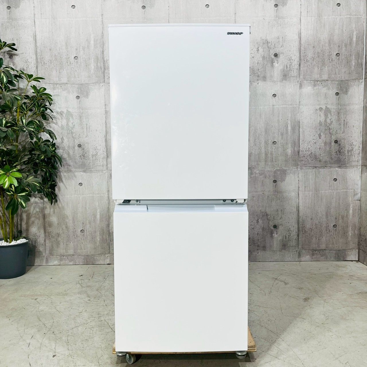 メルカリよりお得！【1ヵ月保証付き】SHARP 2ドア冷蔵庫 152L 2023年製 