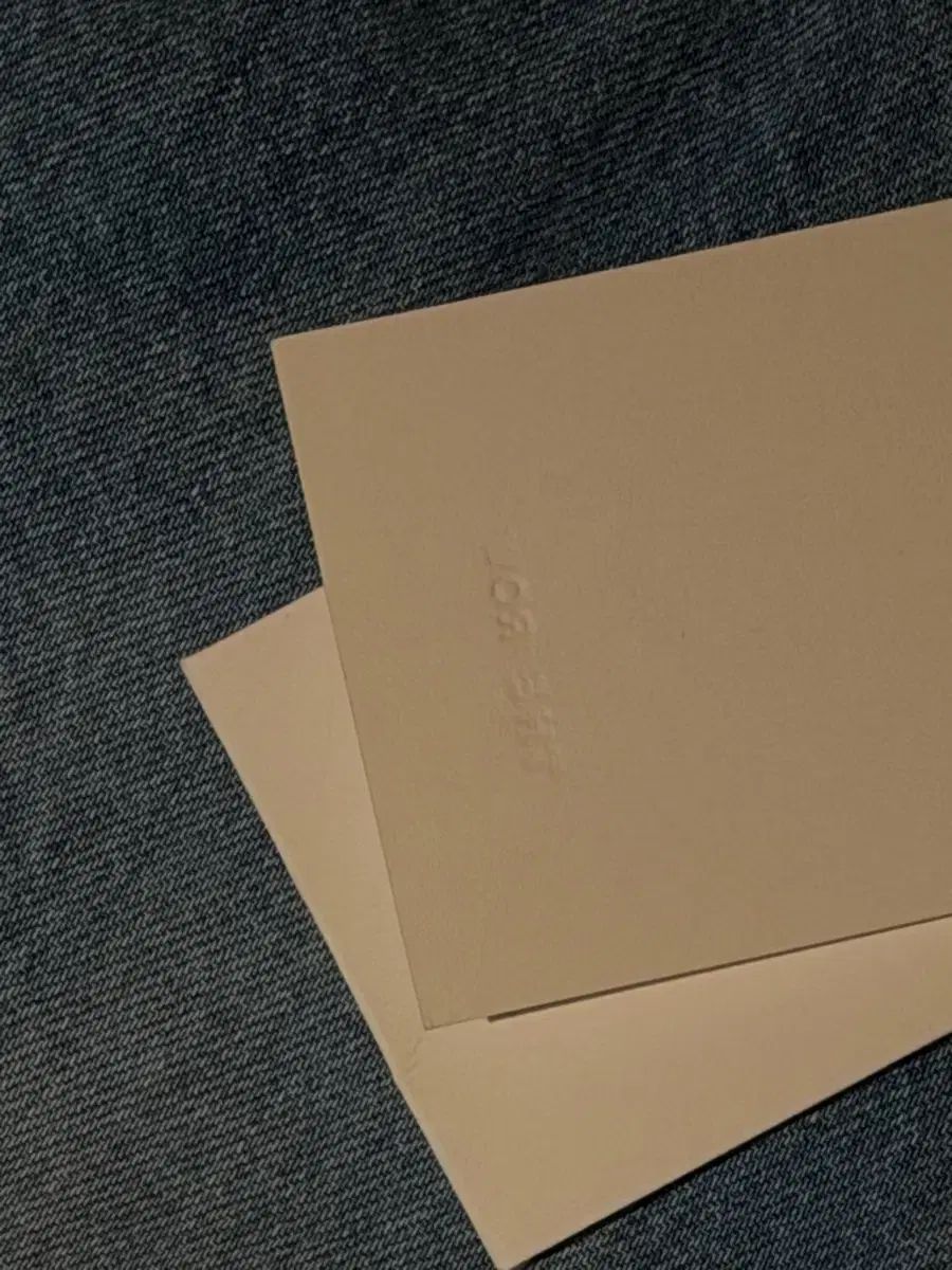 エグリータ デニム