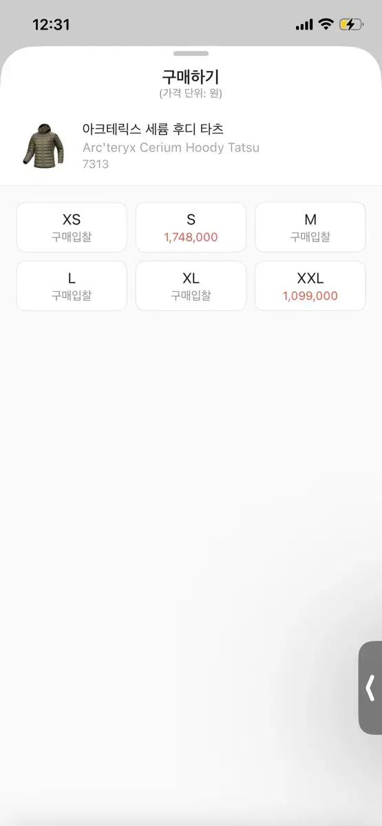 ARC TERYX Ceriumフーディ タツ M