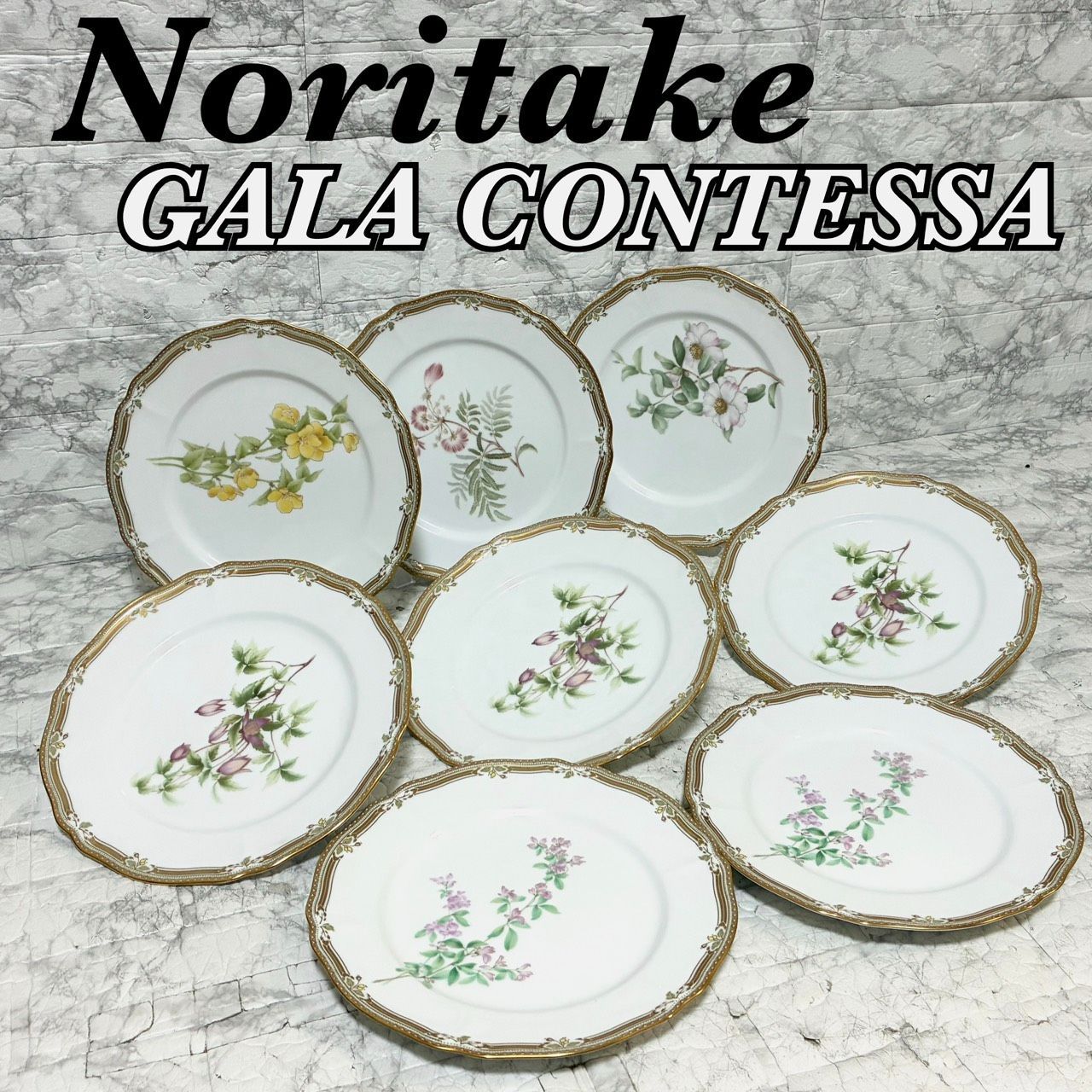 8枚セット 廃盤希少】Noritake GALA CONTESSA ノリタケ ガラコンテッサ