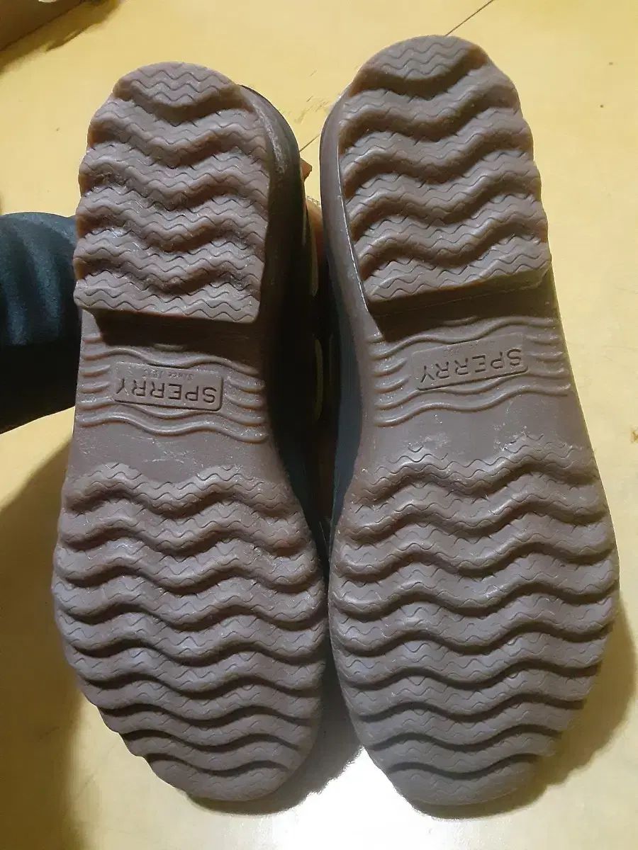 スペリー ダック