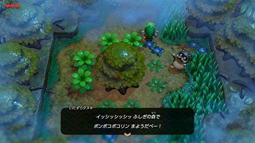  ゼルダの伝説 夢をみる島 Switch 彡 ソフト(パッケージ版) Nintendo Switch