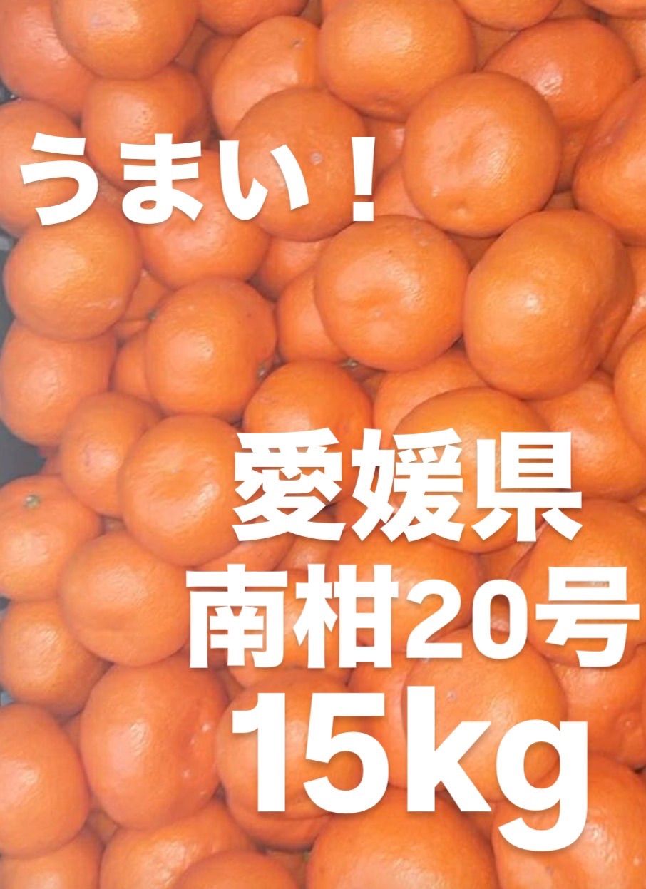 南柑20号 媛小春 15キロ 南柑20号 媛小春 15キロ 先行受付】希少柑橘