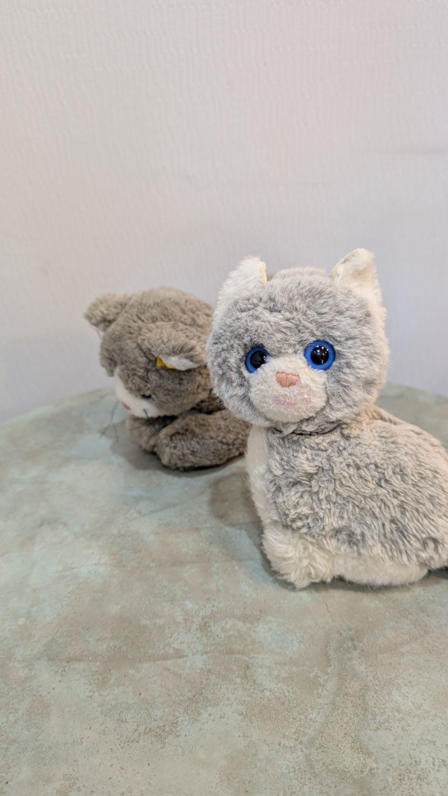 ドイツ シュタイフ スナッフィー 猫 cat グレー 子猫 ブルーアイ