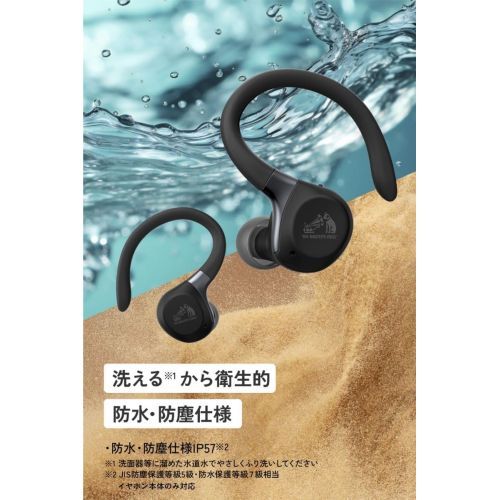 ビクター(Victor) HA-EC77T-V パープル 完全ワイヤレスイヤホン イヤー