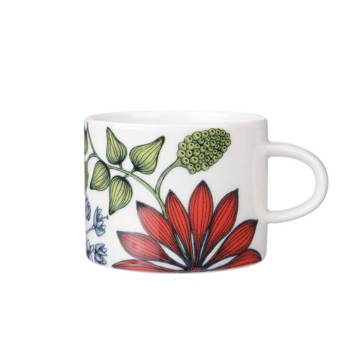 アラビア Arabia 日本 品 ルノ サマーレイ カップ＆ソーサー 耐熱 電子レンジ対応 マグカップ プレゼント