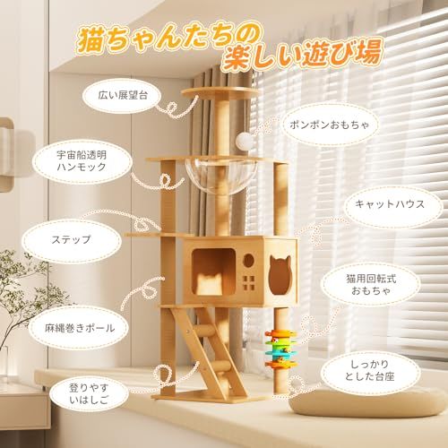 猫ハウス 展望台