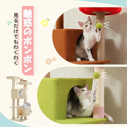 ぺテぺラ 在庫一掃