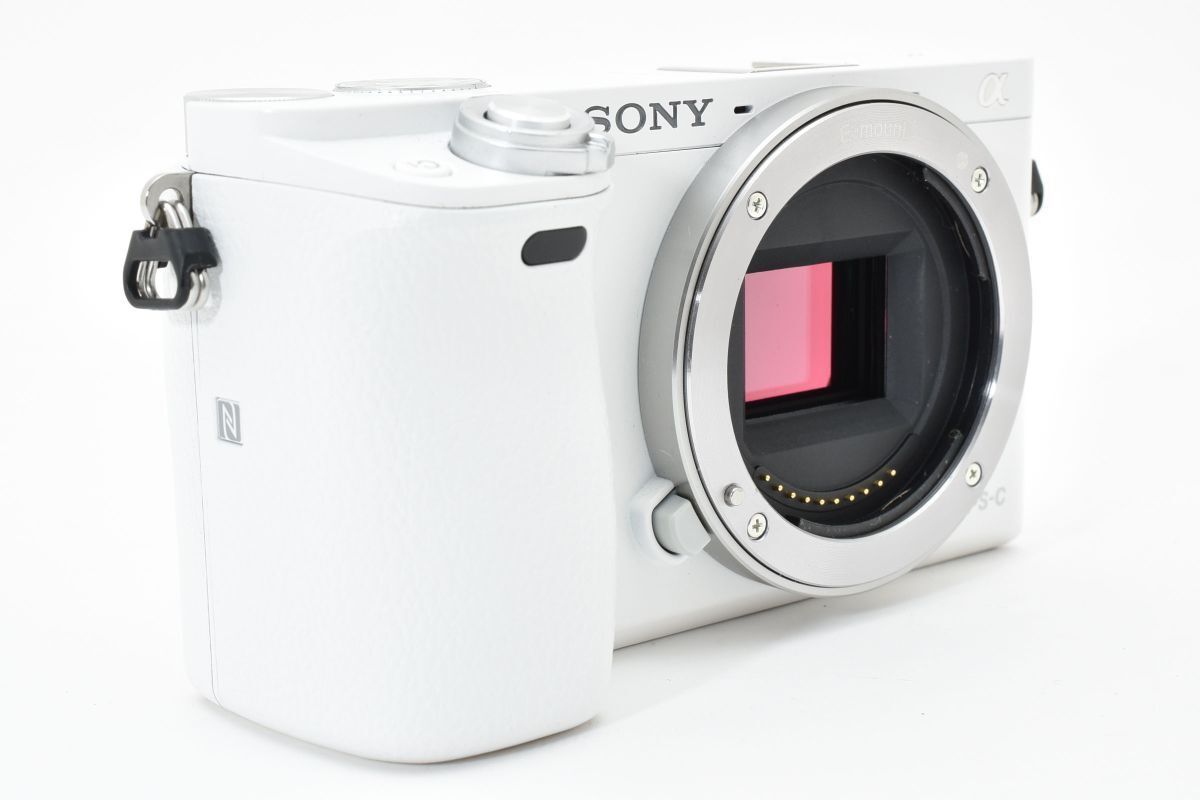 SONY α6000
