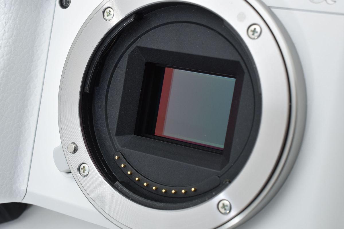 ショット数2504回