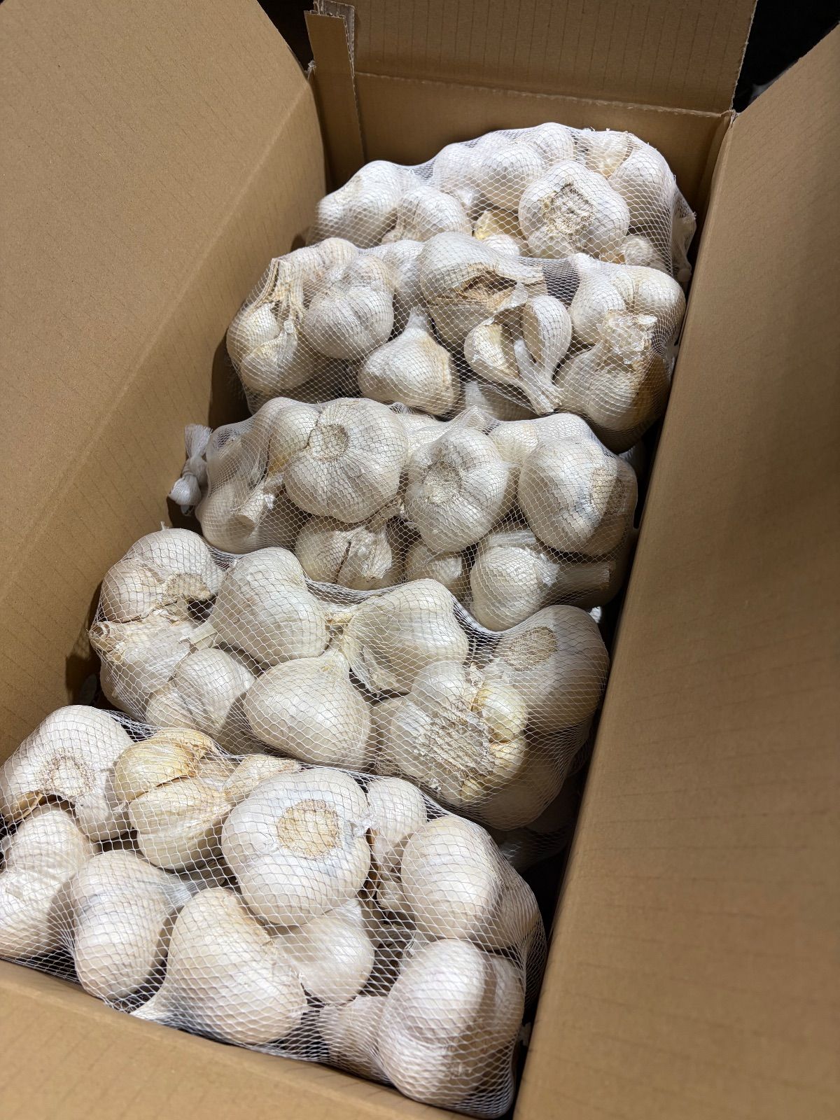 青森県産　生にんにく5KgM tknamanin_1.jpg