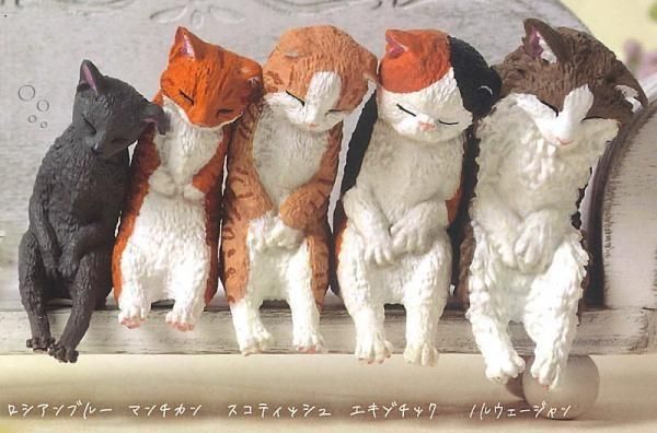 ネコネコ いっしょにねんね にゃんこ × 全5種セット すやすや おねむ お昼寝