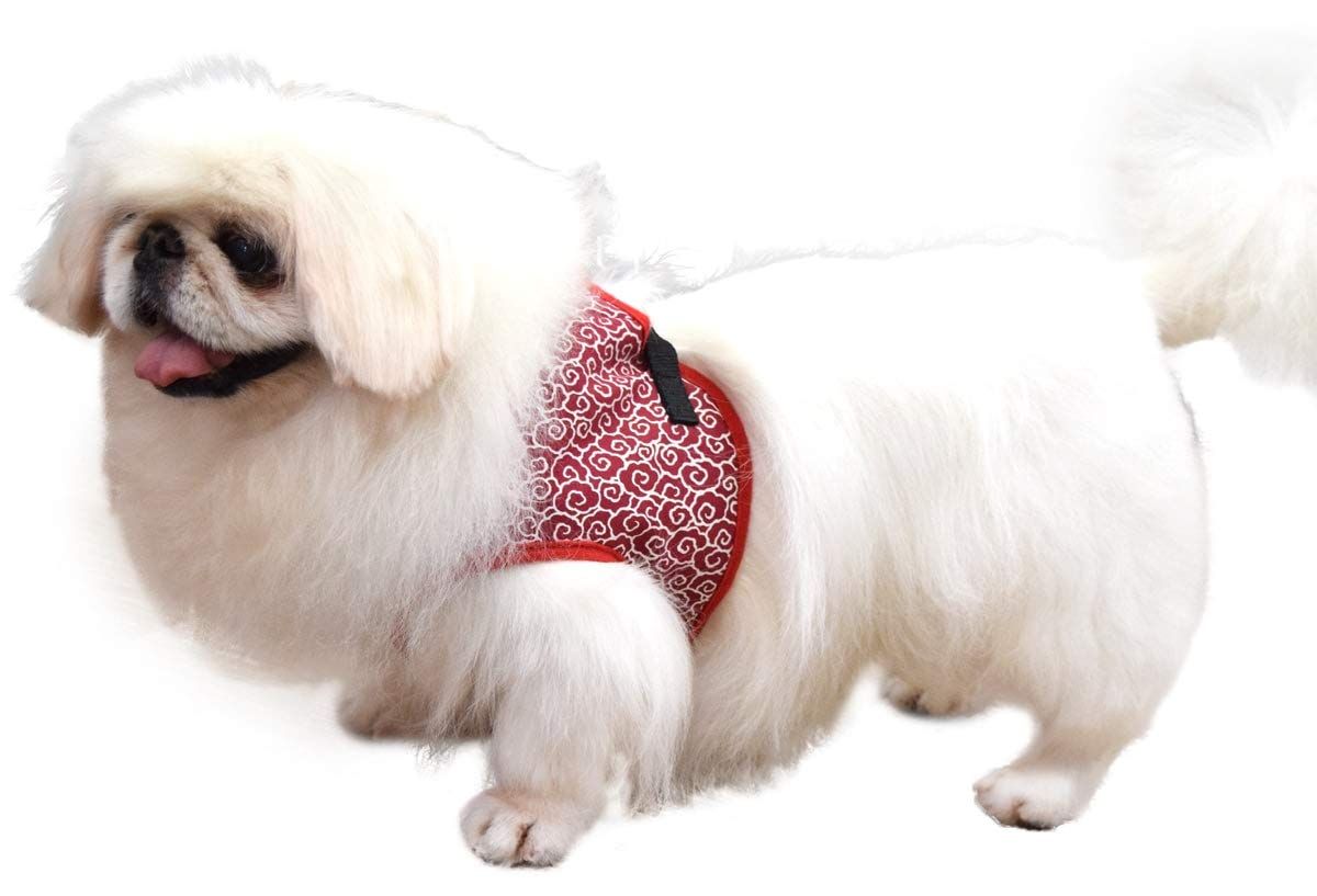 ASHU ウェアハーネス 唐草 L 赤