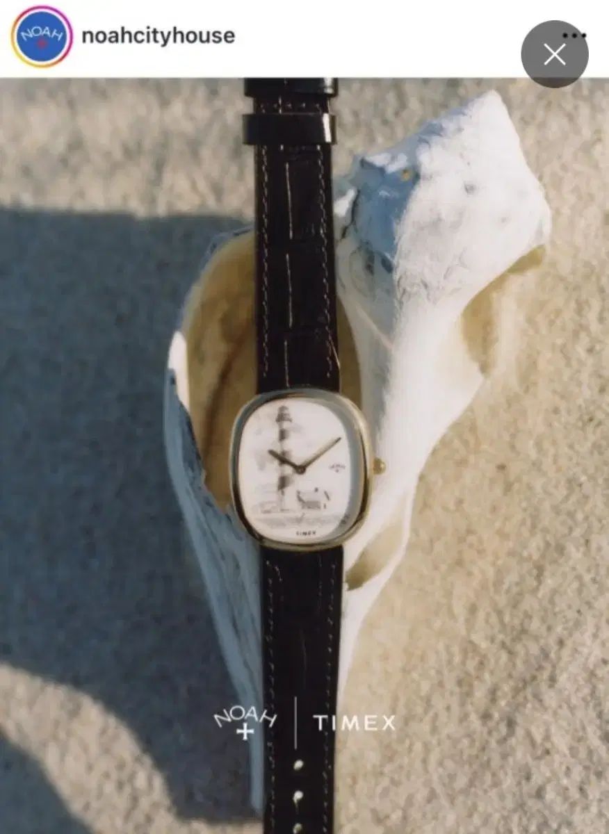 TIMEX タイメックス ノア NOAH ライトハウス