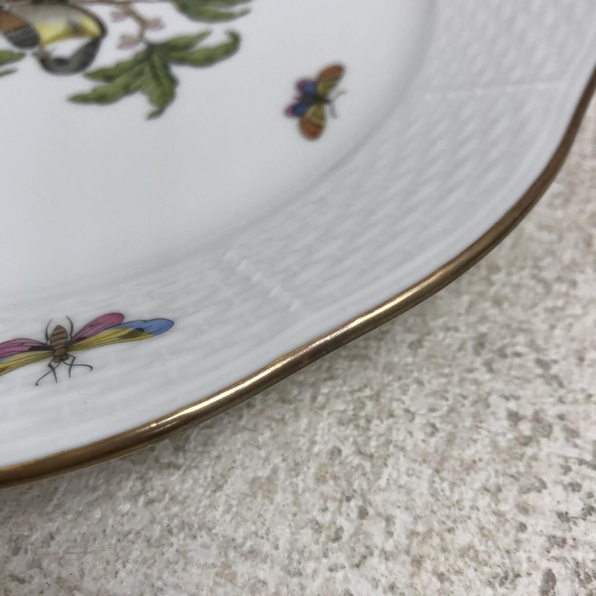 ロスチャイルドバード 直径25.5