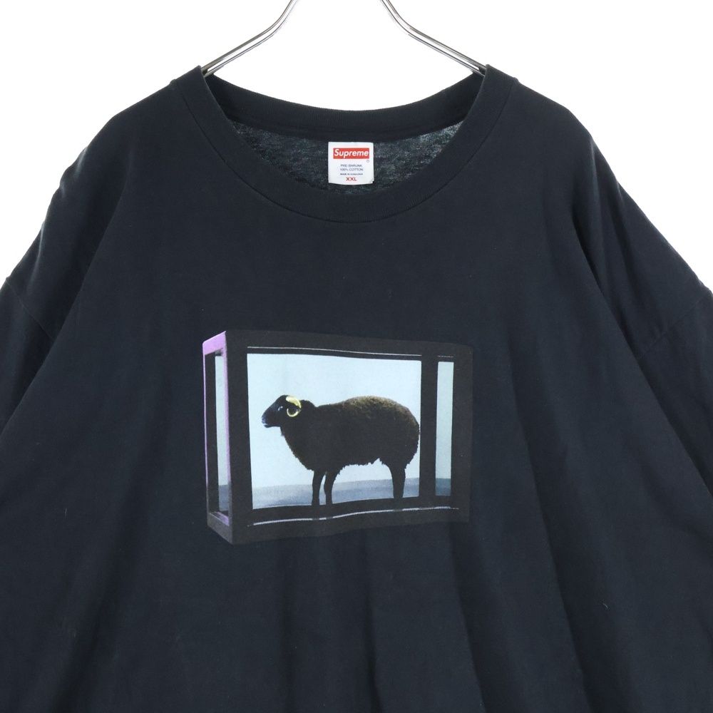 SUPREME (シュプリーム) 25SS Damien Hirst Tee ダミアンハースト