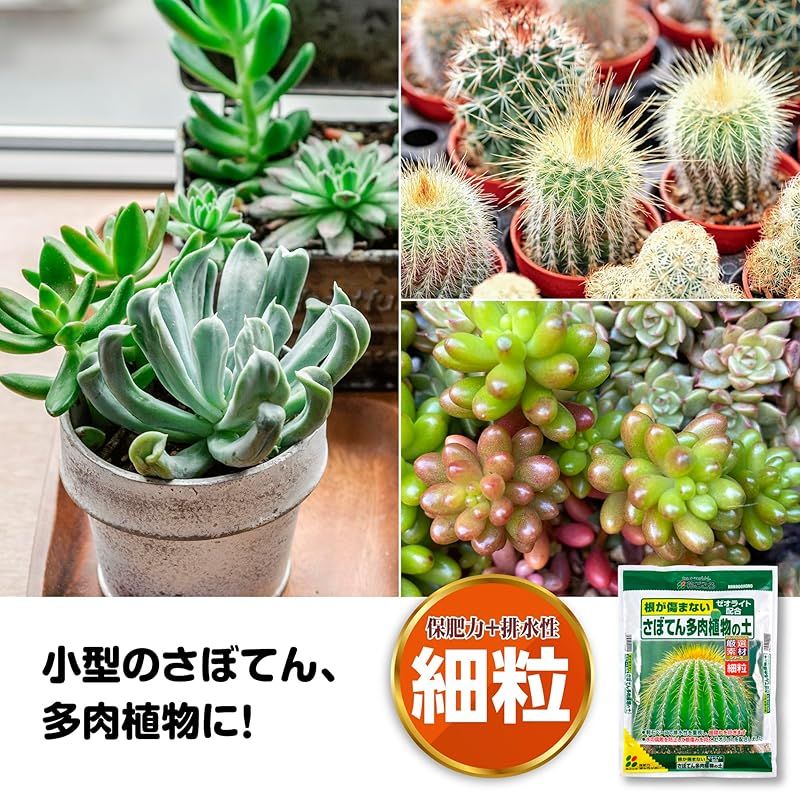☆注目商品☆花ごころ さぼてん多肉植物の土 5l 1 - メルカリ