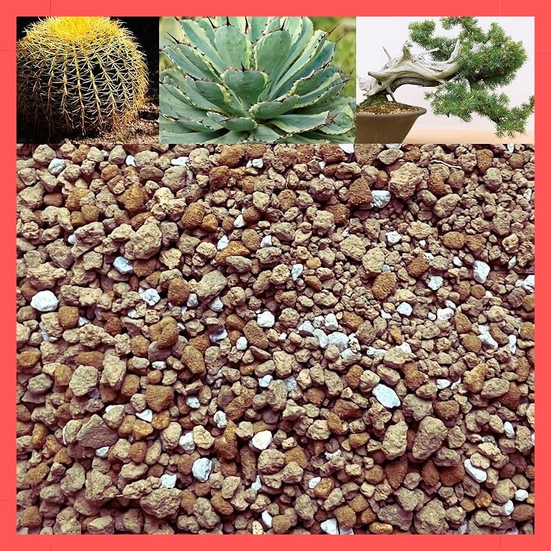 ☆注目商品☆Leap Raupe 塊根植物の土 アガベ 観葉植物 室内用 虫が