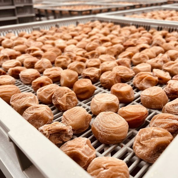 価格高騰！農家直送！紀州南高梅 樽 4000g 無添加 和歌山 紀州 白梅 価格高騰！農家直送！紀州南高梅 樽 4000g 無添加 和歌山 紀州 白梅