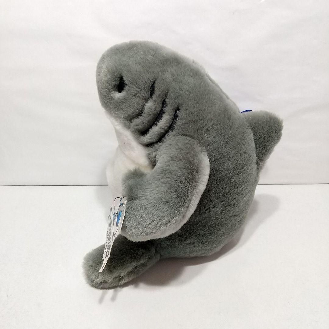 クレイジーシャツ サメ サーフィン 乃木坂46 西野七瀬 コケタニ君