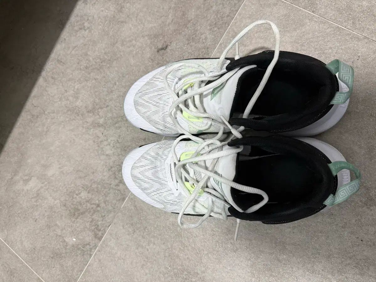 ナイキ ヤニス イモータリティ 2 EP 白 ブラック