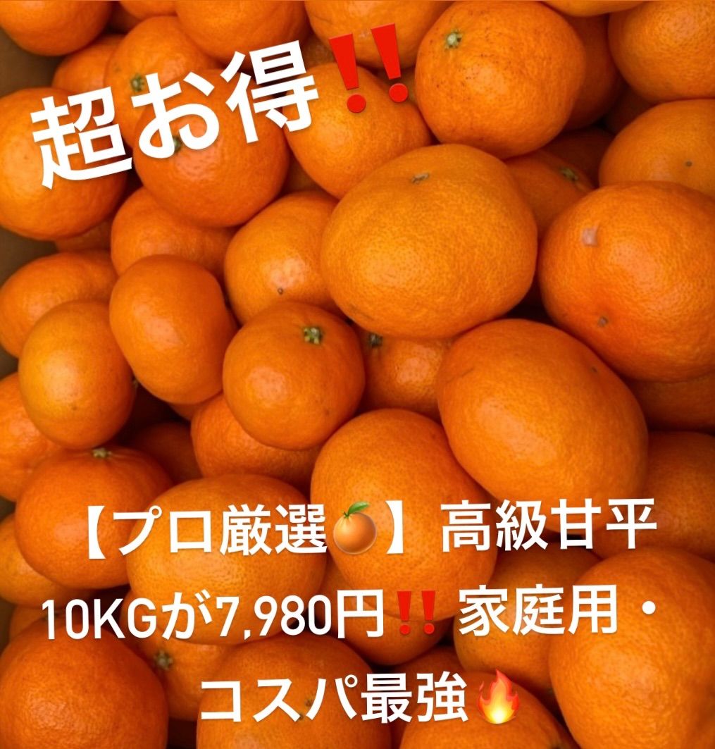甘平 10kg 家庭用＊訳あり 柑橘 - メルカリ