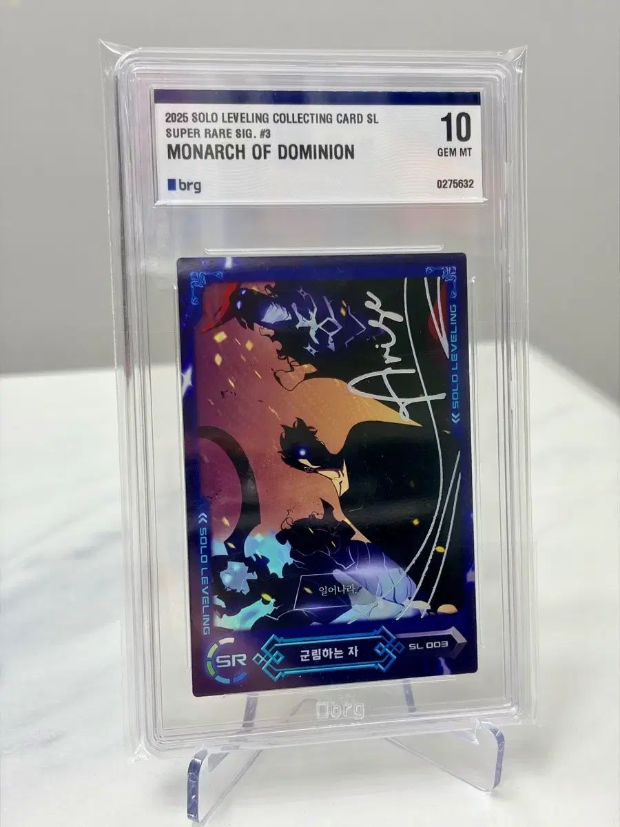 韓国版 俺だけレベルアップ SR SL 003 級 BRG 10