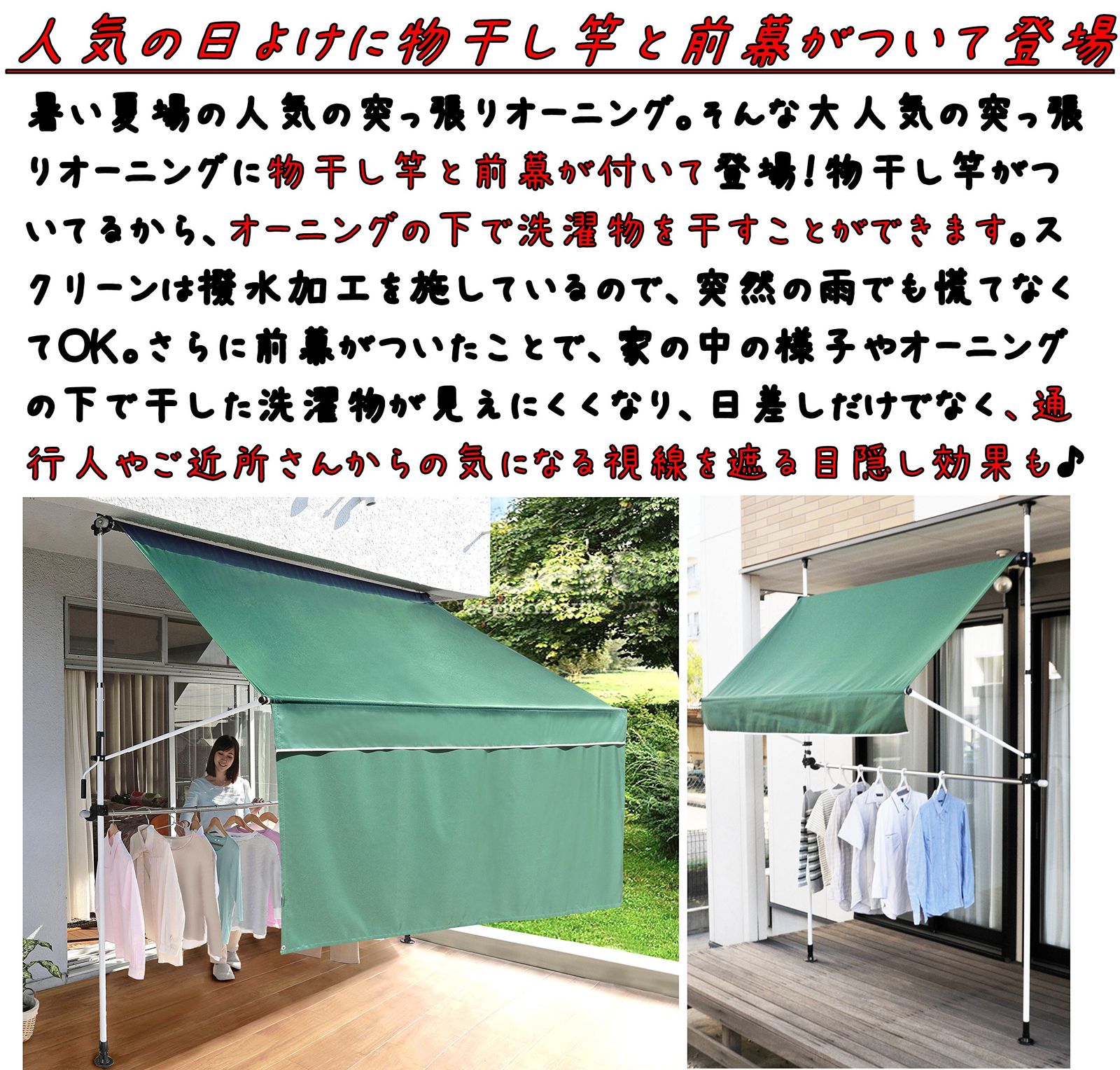 新品 リビングアウト(Living Out) 前幕と物干し竿付きオーニング