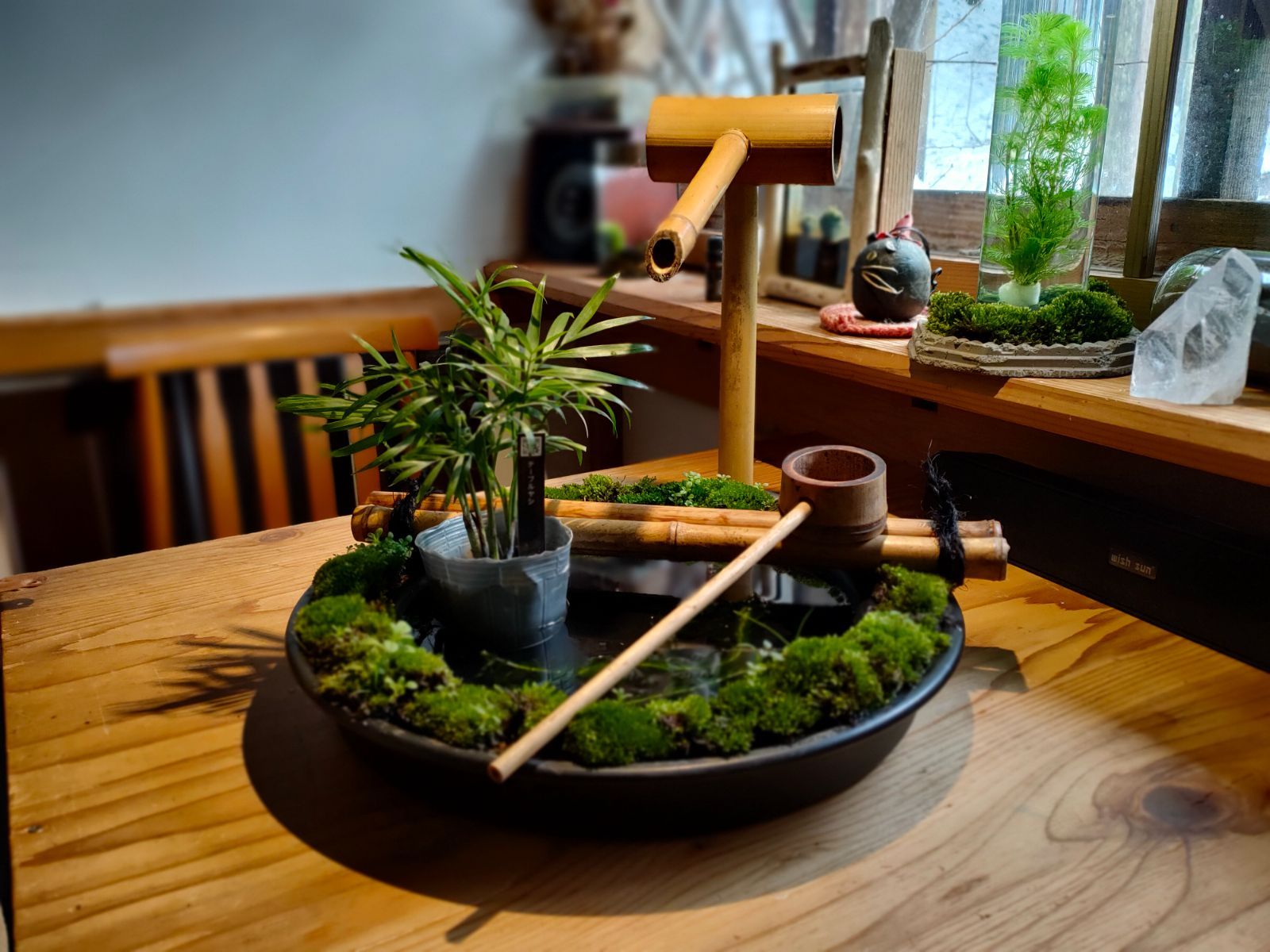 自作『緑化苔リング和のつくばい＋ミニ観葉＋水草セット』 - メルカリ