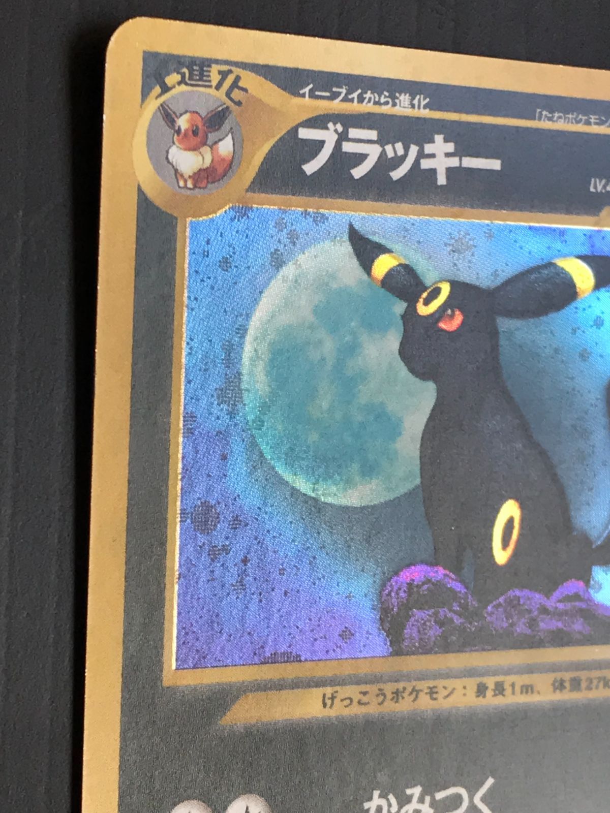 ポケモンカード 旧裏 neo2弾 遺跡をこえて ブラッキー Lv.40 HP80 No