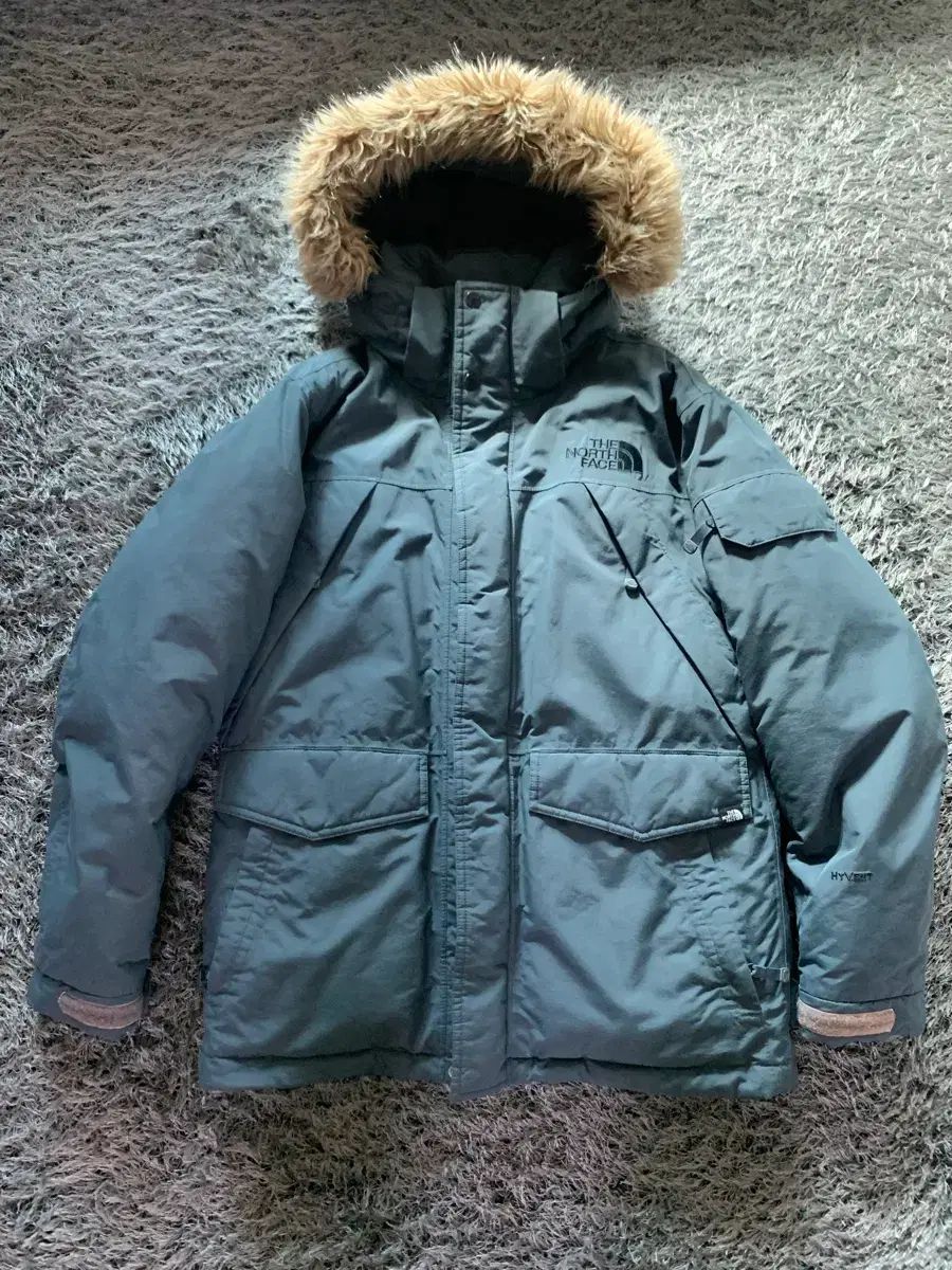 THE NORTH FACE ザノースフェイス ハイベント 防水 防風 グース ダウン