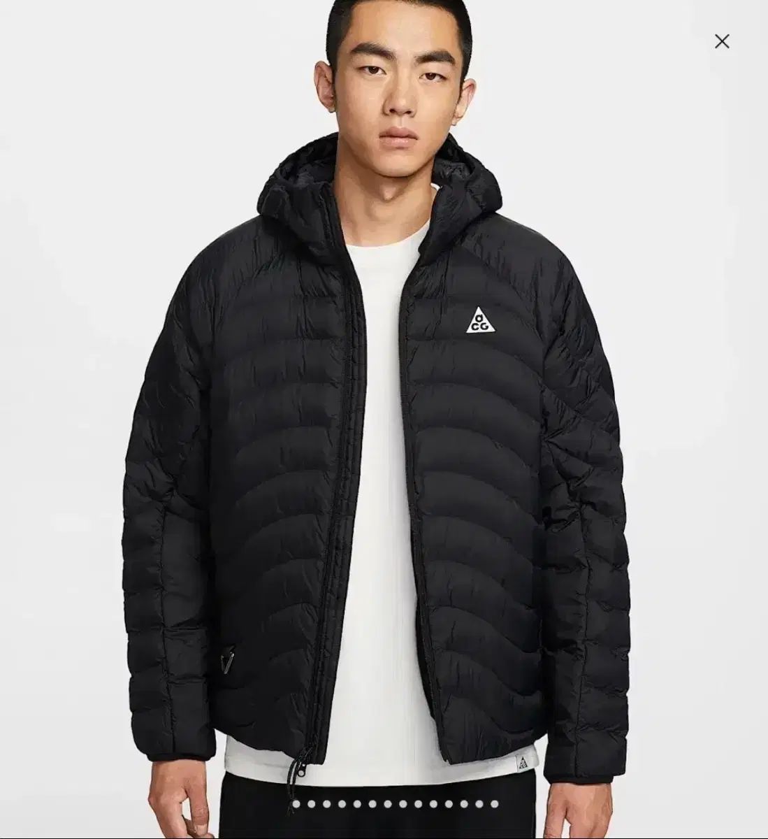 ナイキ ACG ダウン XXXL ラバフルイドフロー