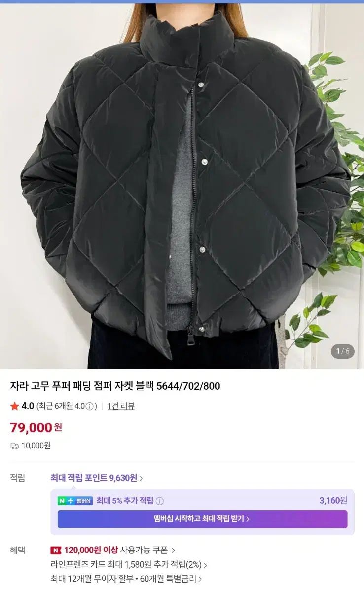 ZARA ガールズ ダウン 13-14歳 *大人 Sサイズ相当 直販