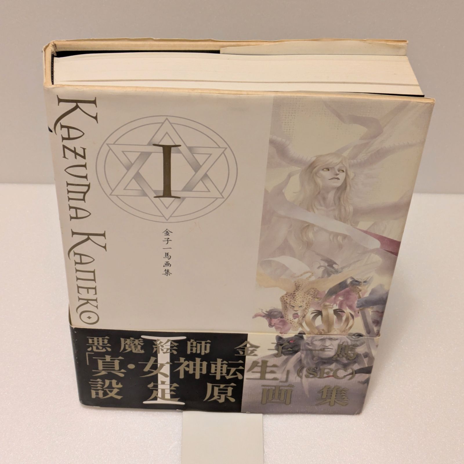 金子一馬画集 「真・女神転生」設定原画集 - メルカリ