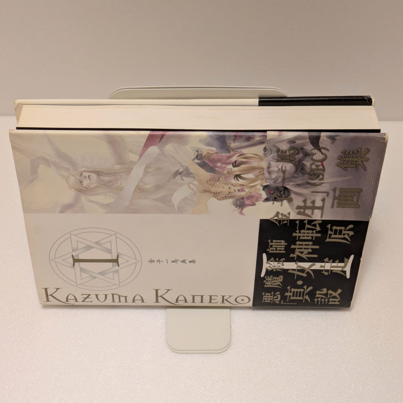 金子一馬画集 「真・女神転生」設定原画集 - メルカリ