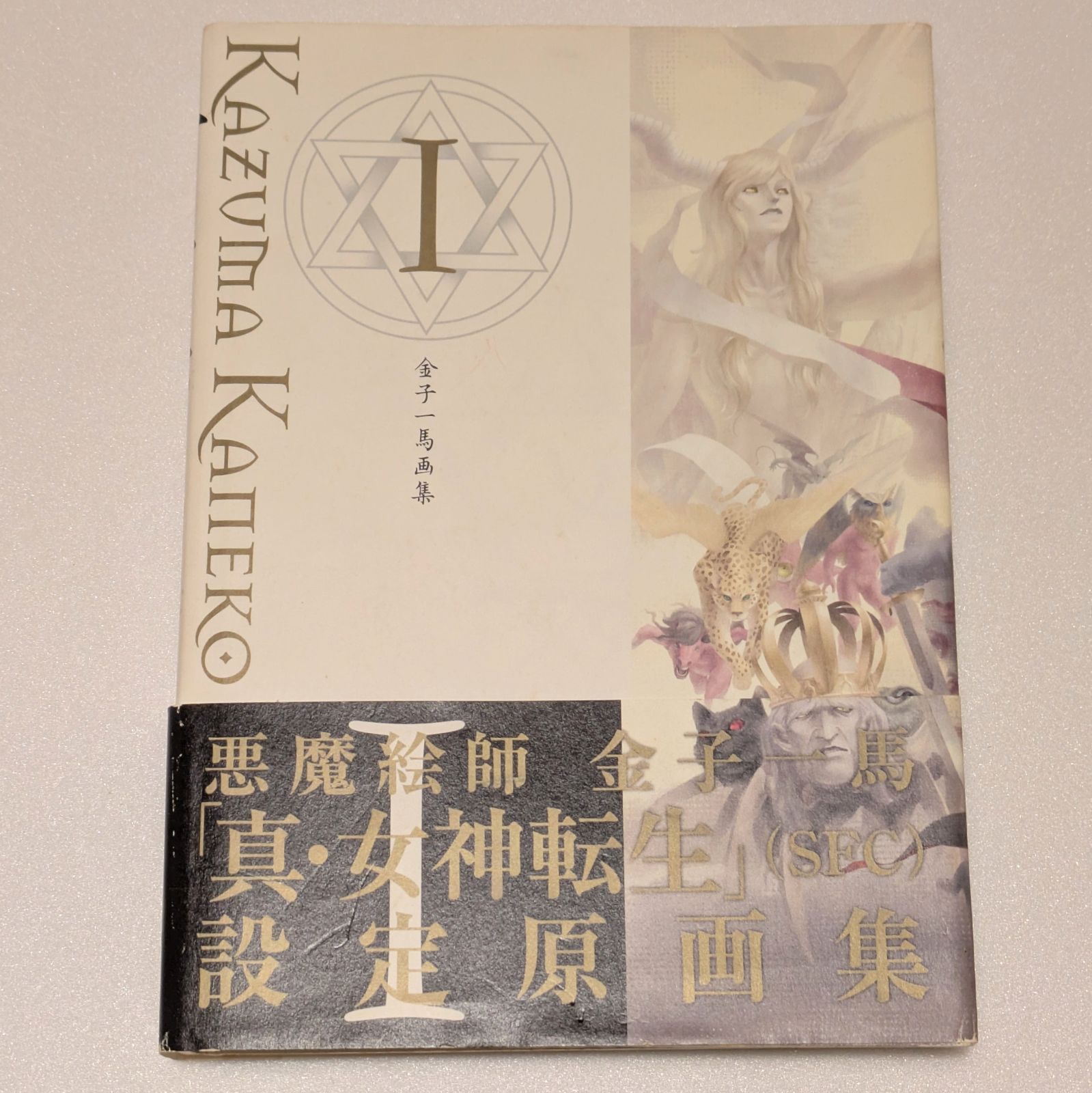 金子一馬画集 「真・女神転生」設定原画集 - メルカリ
