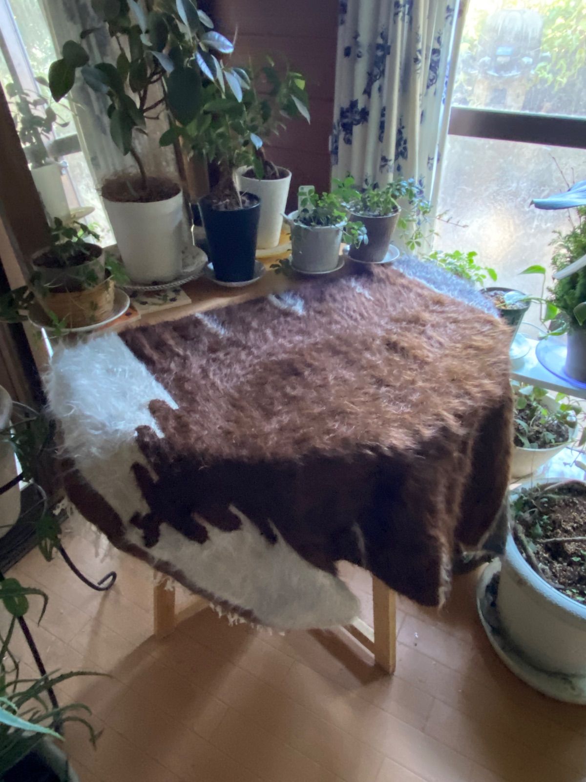 艶々感が違う！40年ほど前に織られたセミアンティークシイルトバッタ